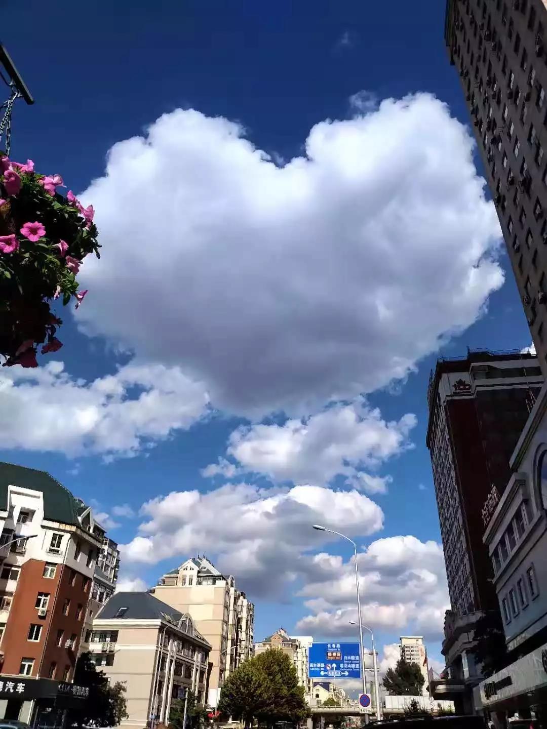 毛爱华 | “,不都是这样的吗?” 毛爱华 | “,不都是这样的吗?”